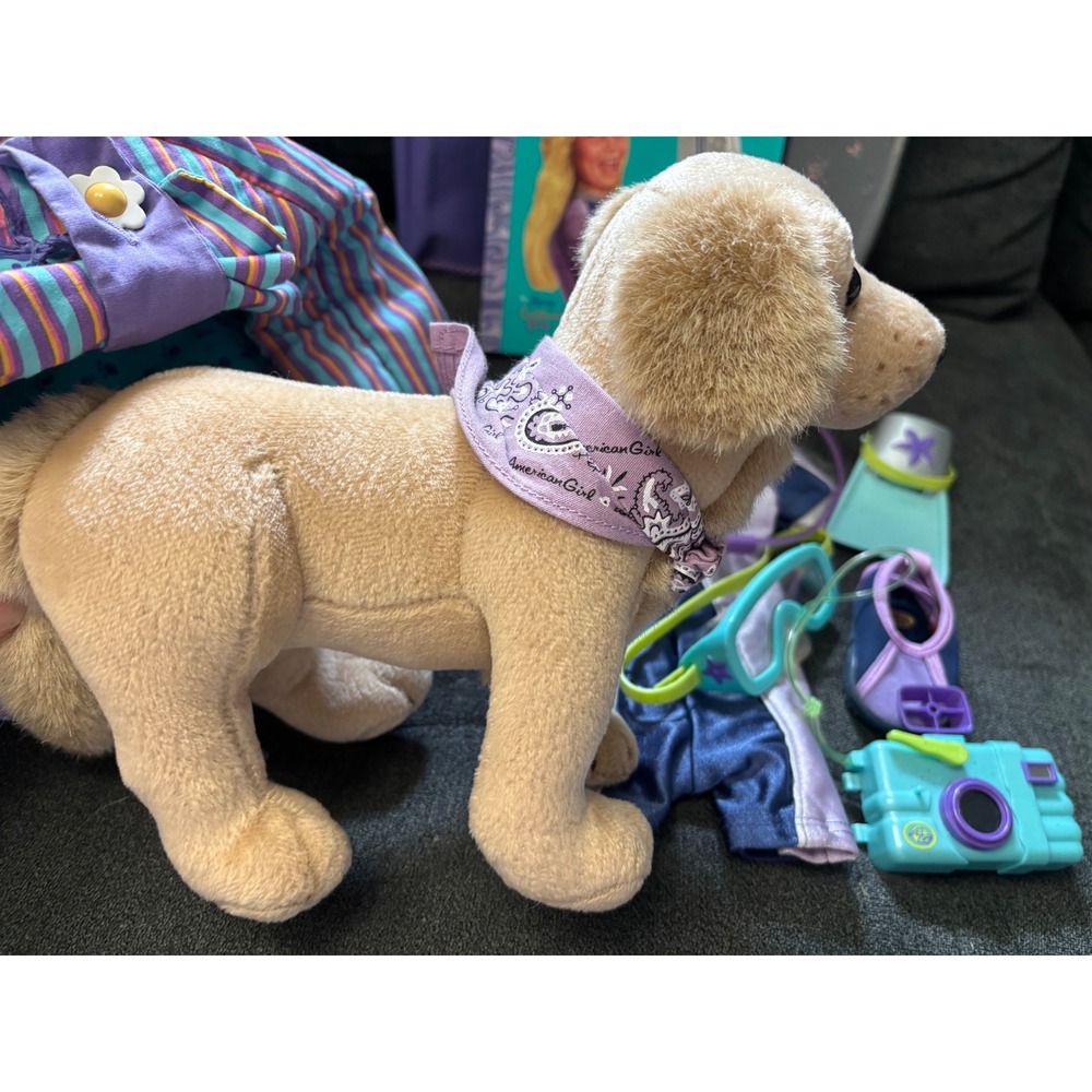 American Girl Kailey Hopkins Accessories Set Boogie Board Dog Bed Wetsuit Book - Picture 5 of 11